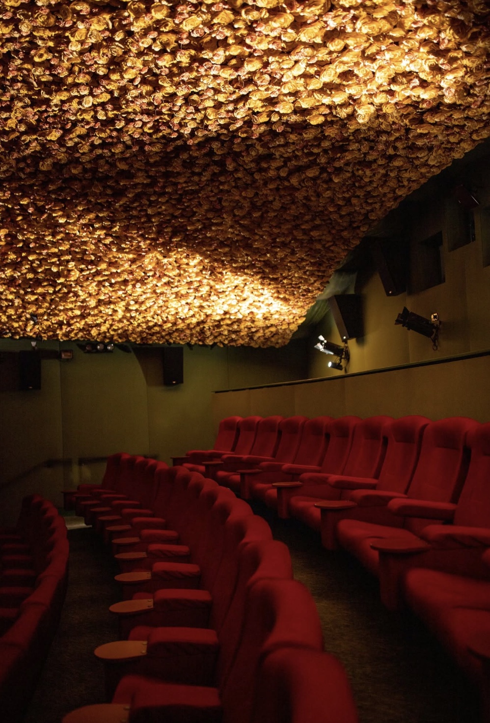 Matakana Cinemas: curved rows of red velvet armchairs with little side tables, under a ceiling covered entirely in golden roses.