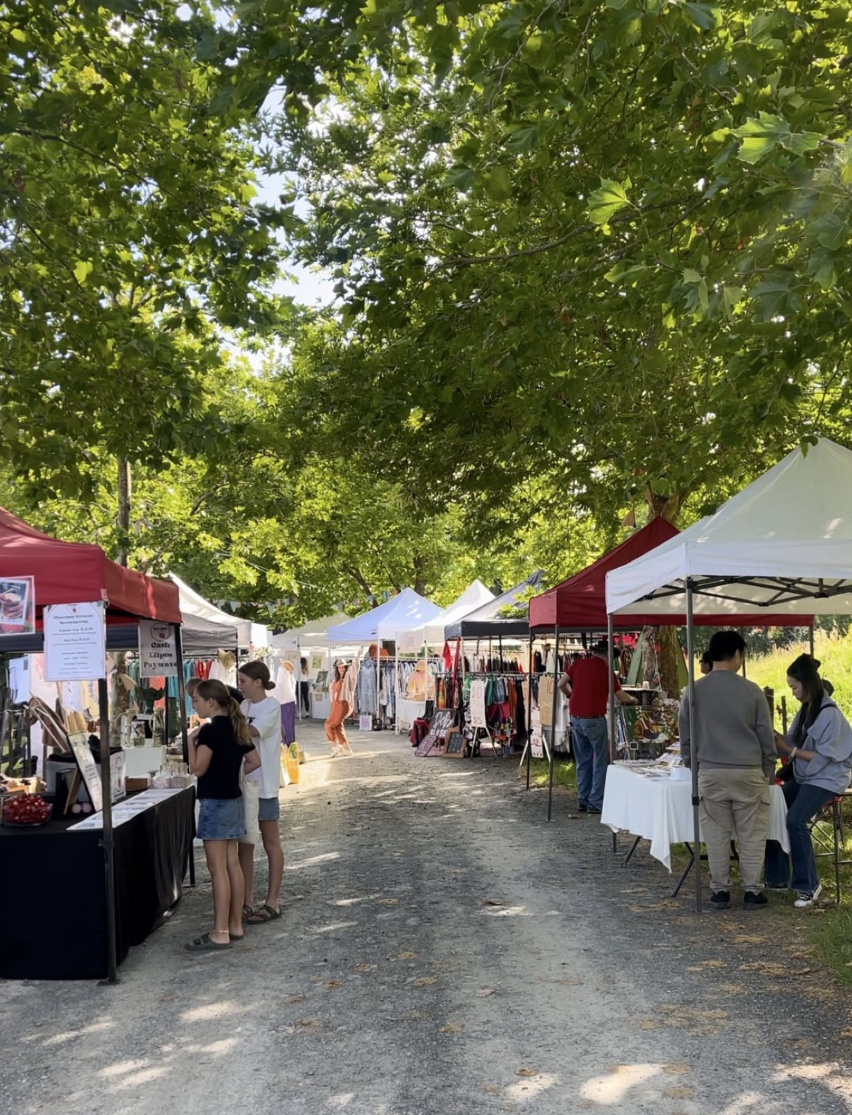 The Sunday market at Matakana Country Park: stalls with red and white gazebos along a gravel lane under big plane trees, two girls browsing a strawberry stall, racks of clothing and crafts further down.