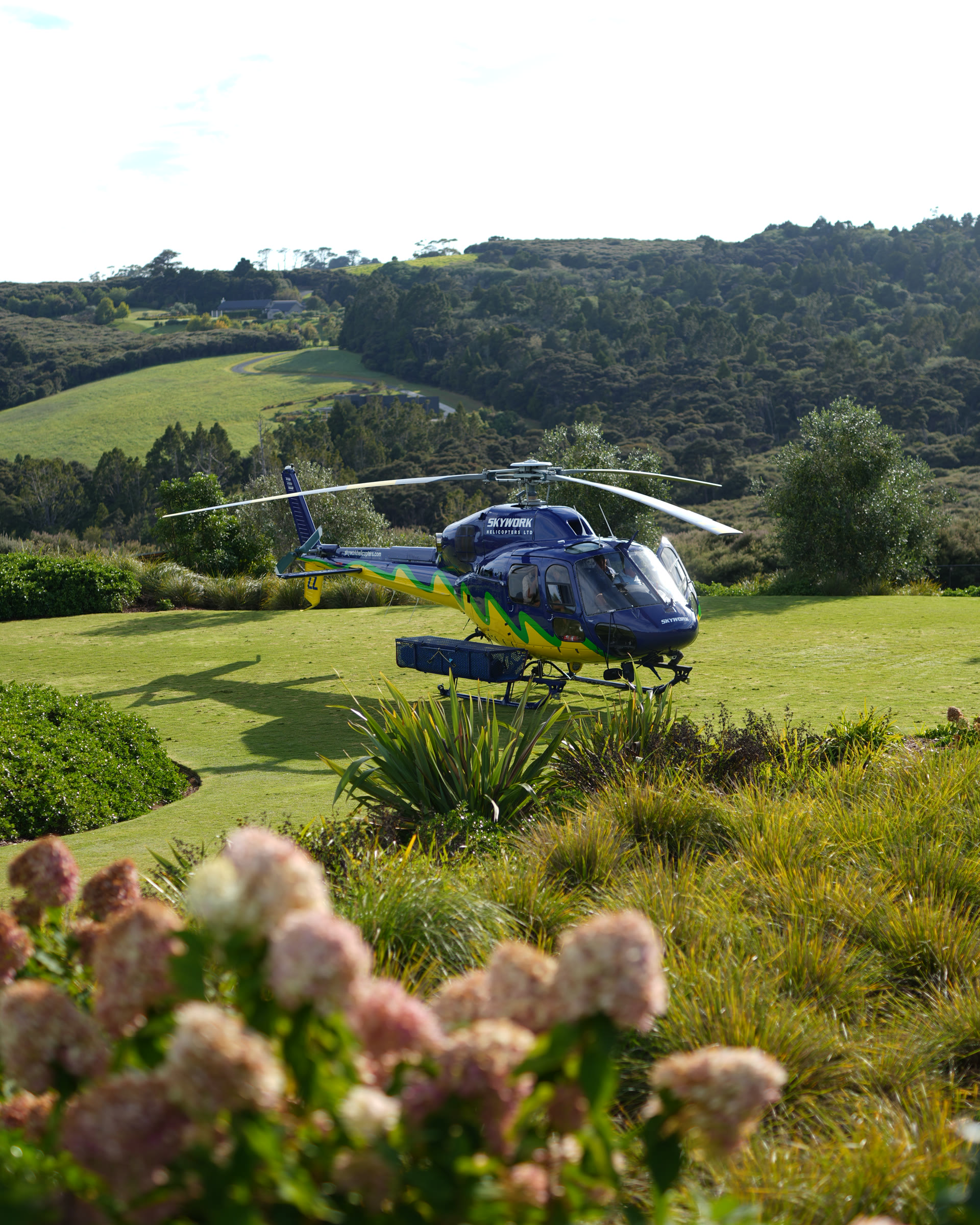 A helicopter landed on the lawn at Bluestone Estate, hydrangeas and flax in the foreground, the bush-covered hills of the peninsula behind.