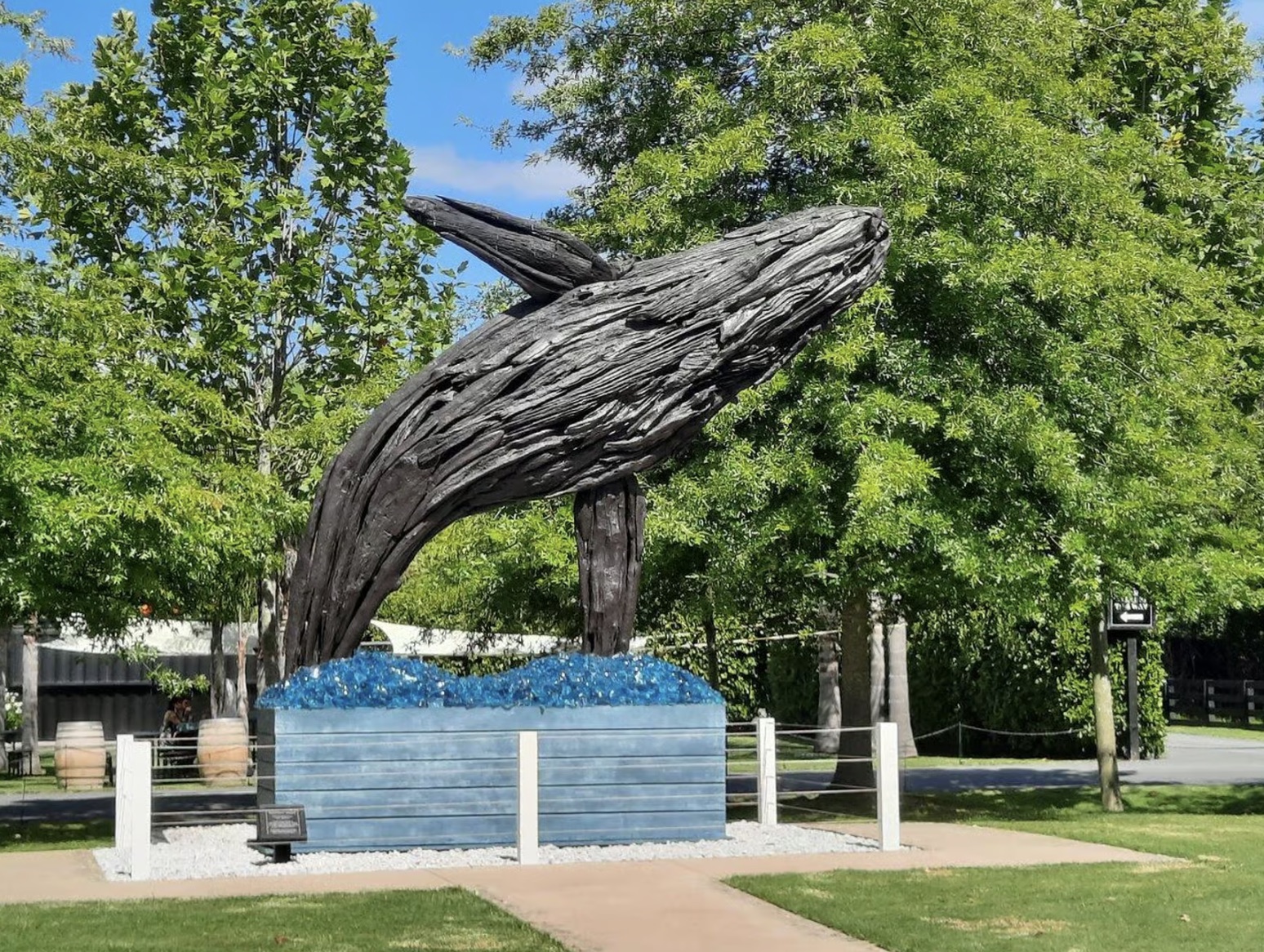 Sculptureum, Matakana: a whale sculpture built from driftwood breaching out of a bed of blue glass, under plane trees on a sunny day.