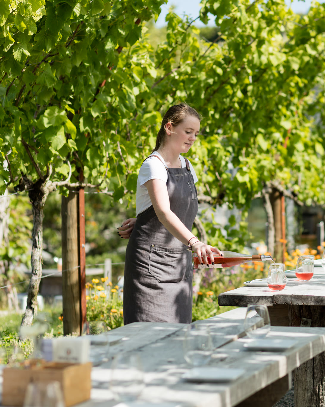 The Vineyard Row at The Glass House, Brick Bay: a server in a grey apron pouring rosé at a long timber table under the pinot gris vines, wildflowers along the row, and the glasshouse roof behind.